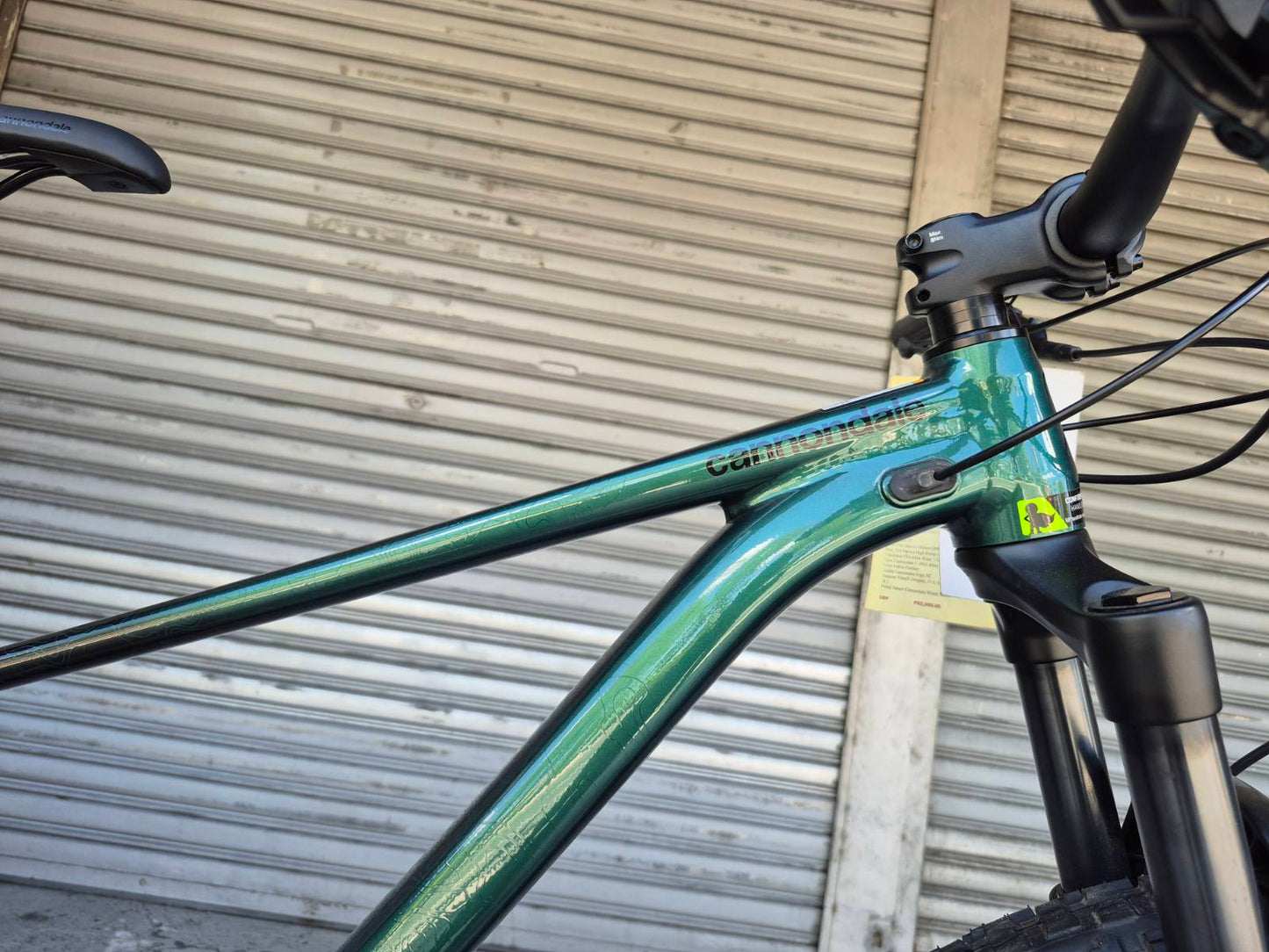 Cannondale Trail SE 2
