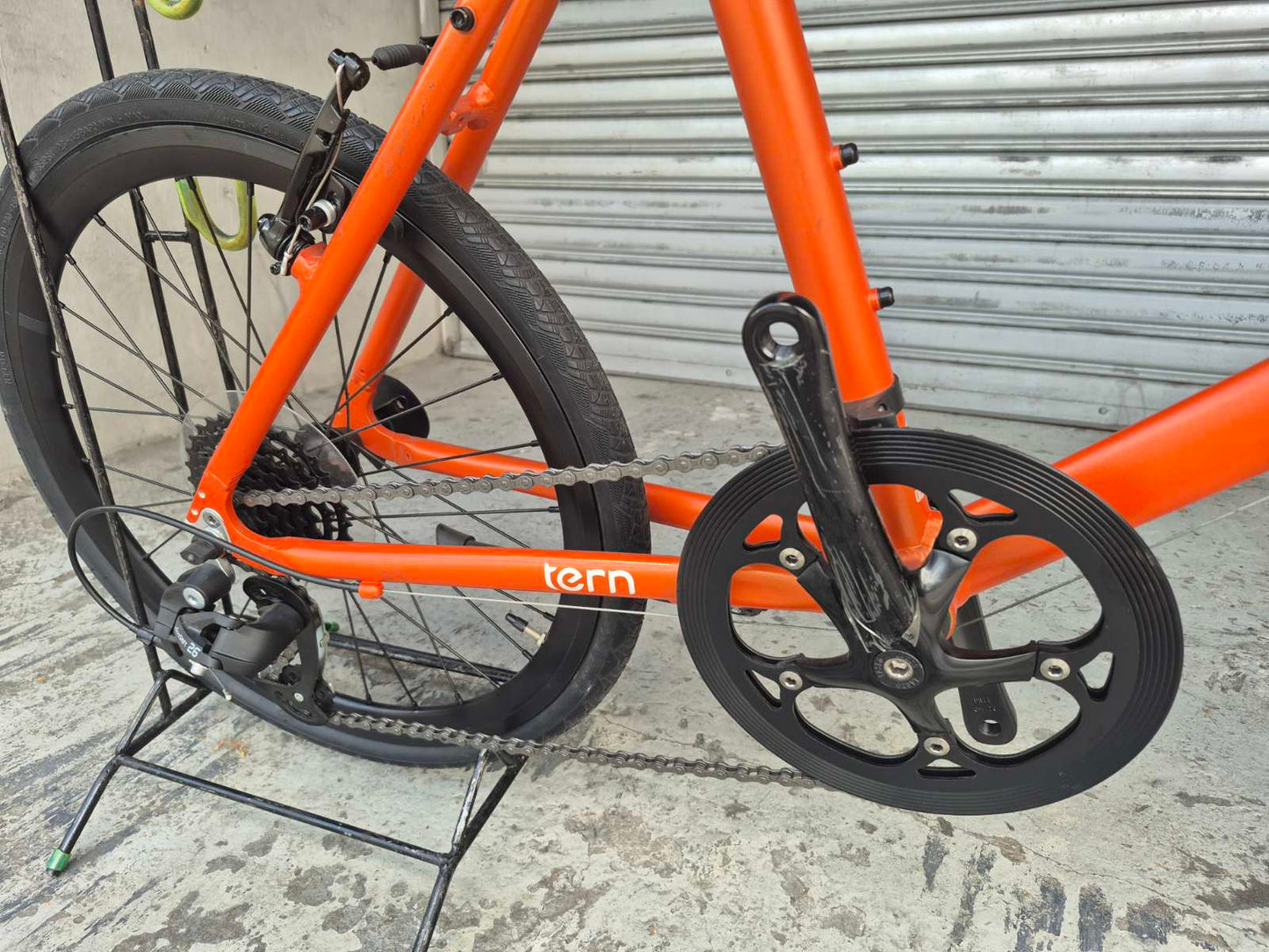 Tern Roji Crest